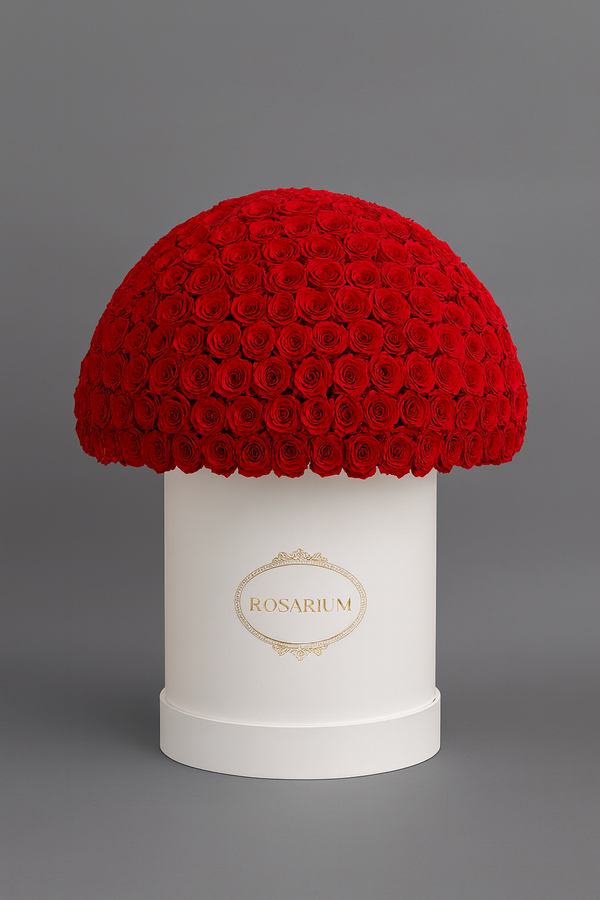 Valentine Collection