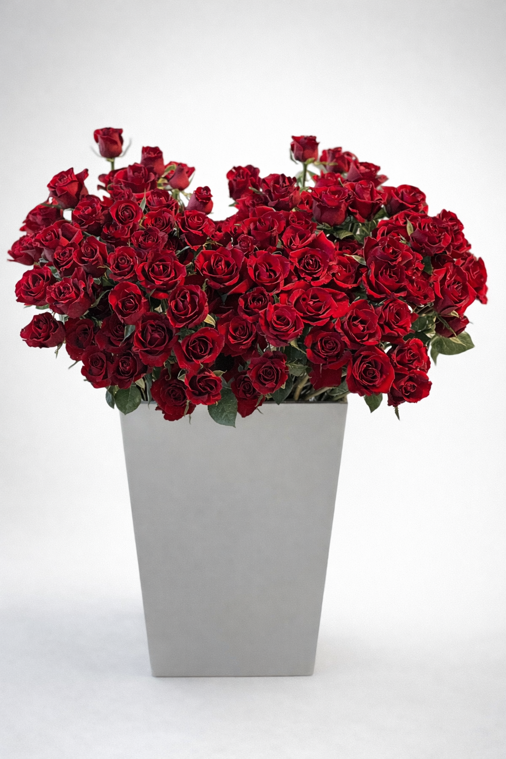 Red Roses – Luxury Box